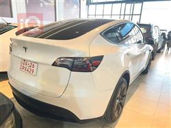 تسلا موديل Y